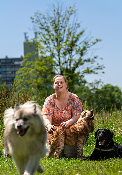 De kracht van dieren