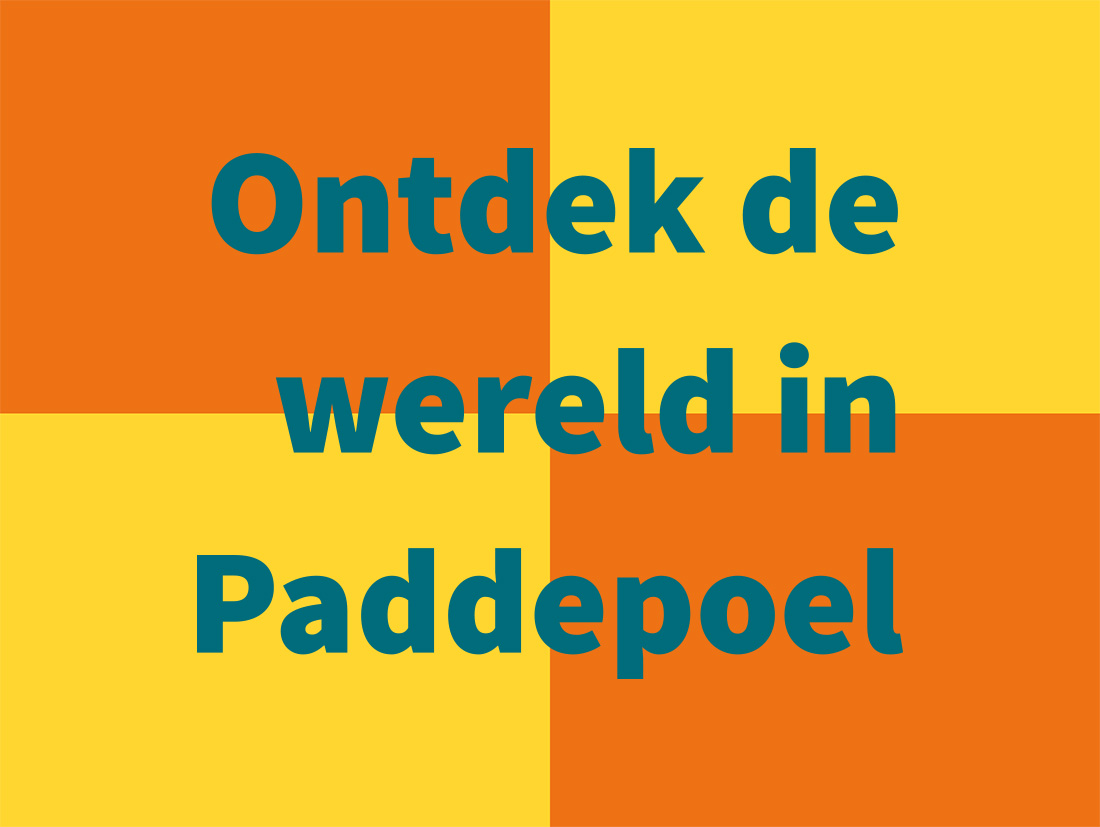 Multiculturele Markt Paddepoel Ontdek de wereld in Paddepoel